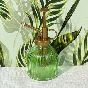Ribbed Glass Plant Mister Brass Colored Pump Orchid Spritzer Plant Lover Gift
